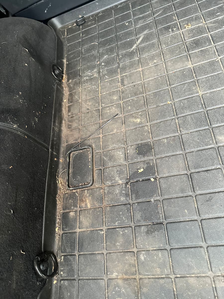 Cargo area before detailing, dusty and dirty rubber liner